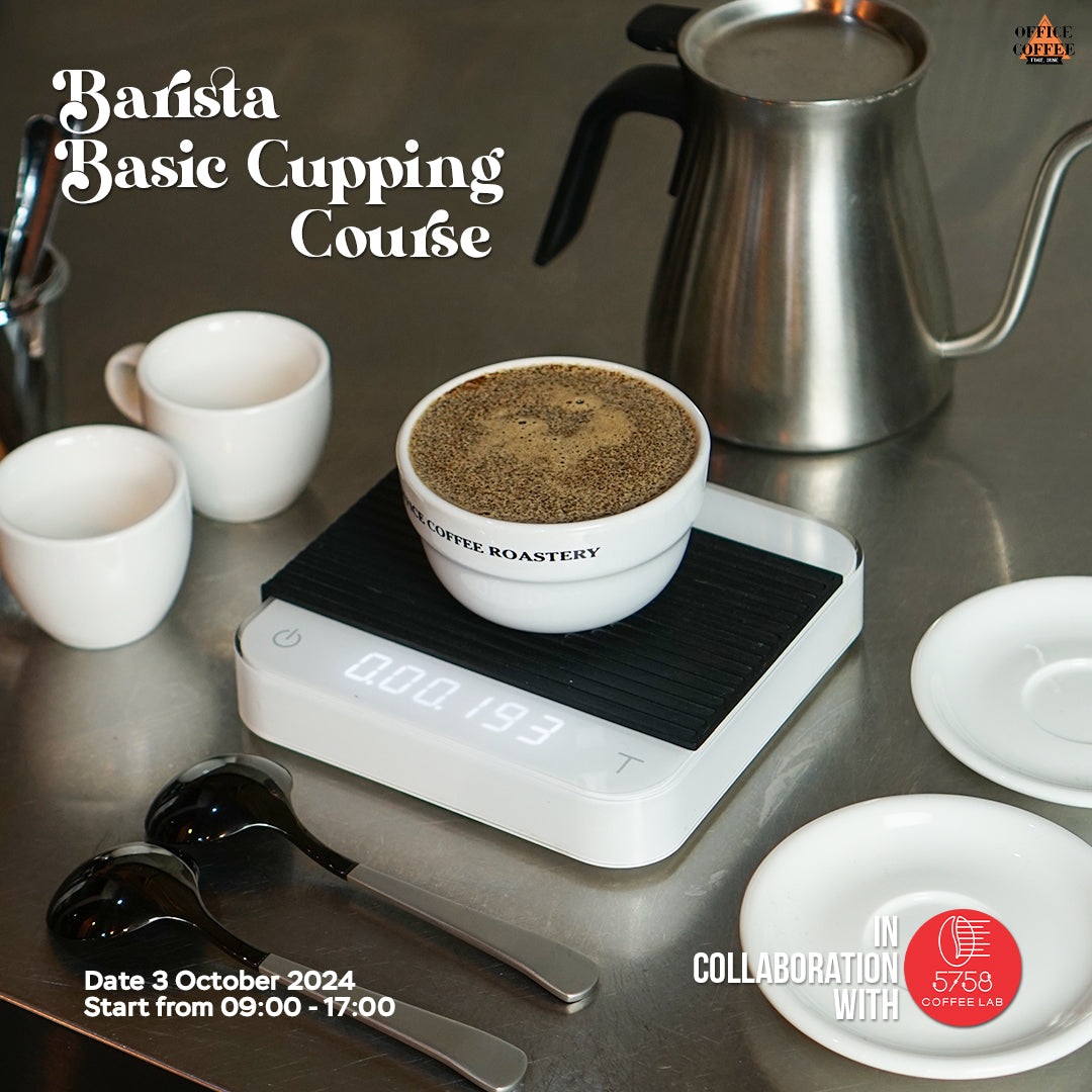 Barista Course