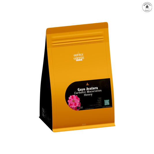 Gayo Avatara Carbonic Maceration Honey - 200gr