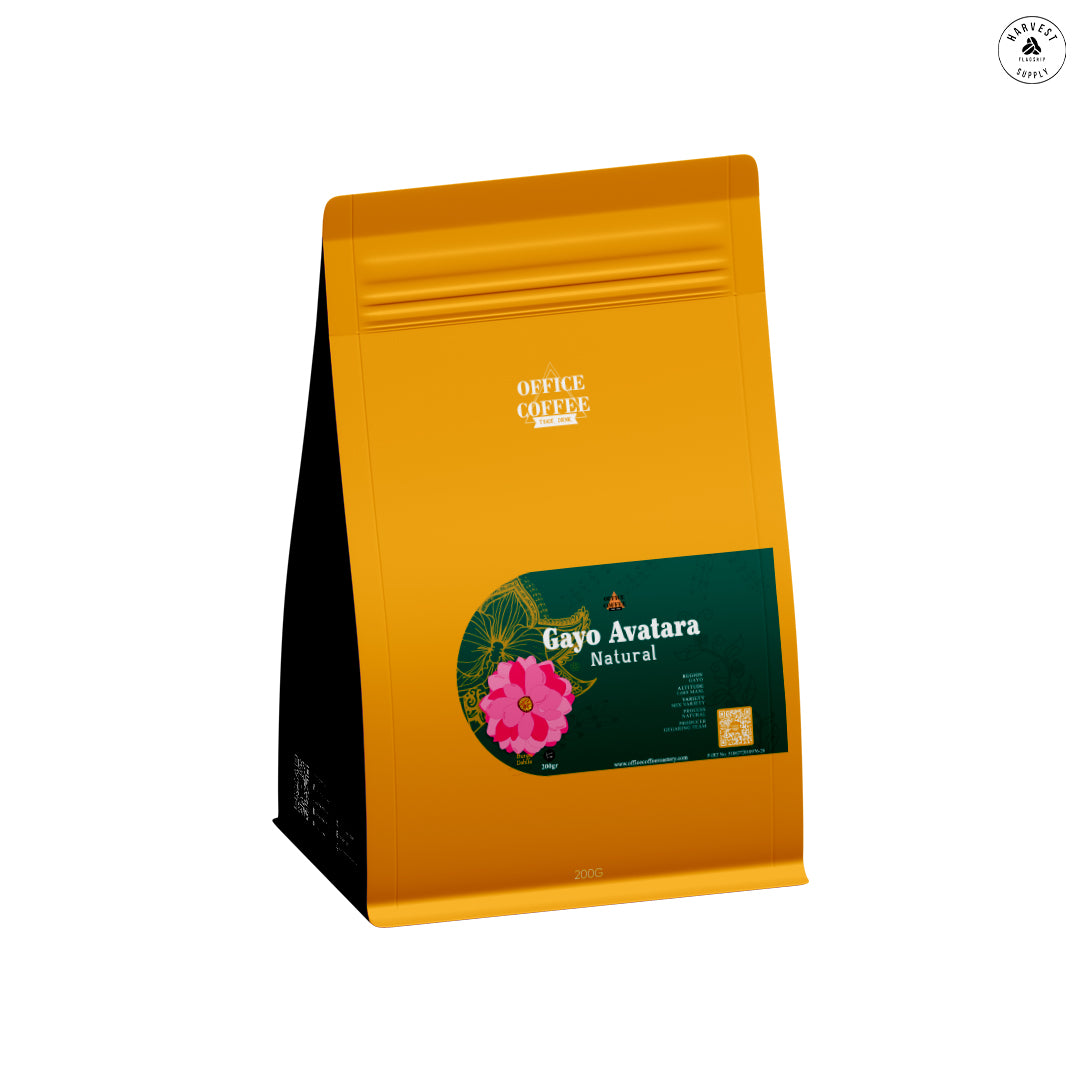 Gayo Avatara Natural 200gr