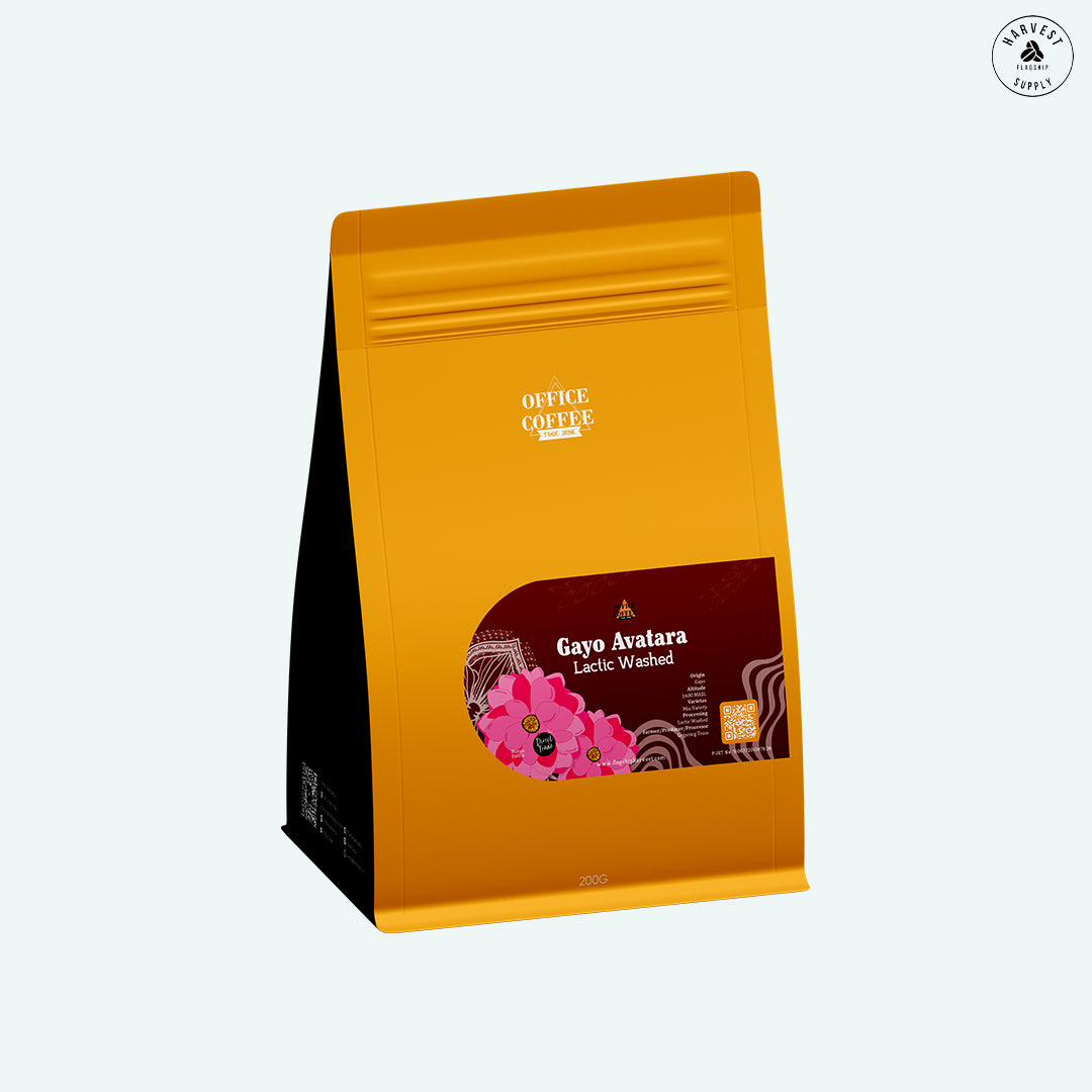 Gayo Avatara Lactic Wash 200gr - Filter Roast