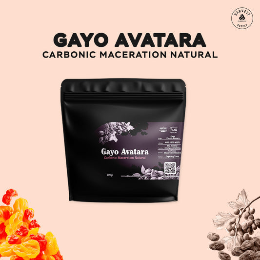 Gayo Avatara Carbonic Maceration Natural 200GR