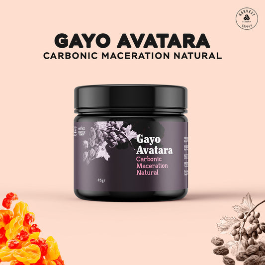 Pick Your Jar - Gayo Avatara Carbonic Maceration Natural 45 GR