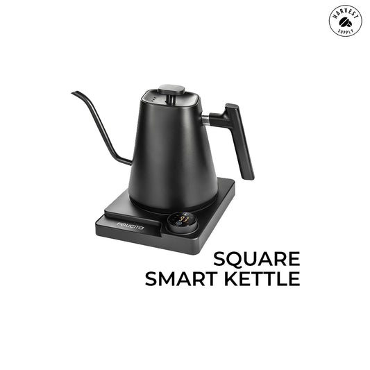Felicita Square Smart Kettle
